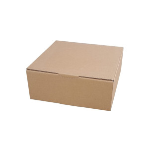 Caja de envío postal 200x100x100