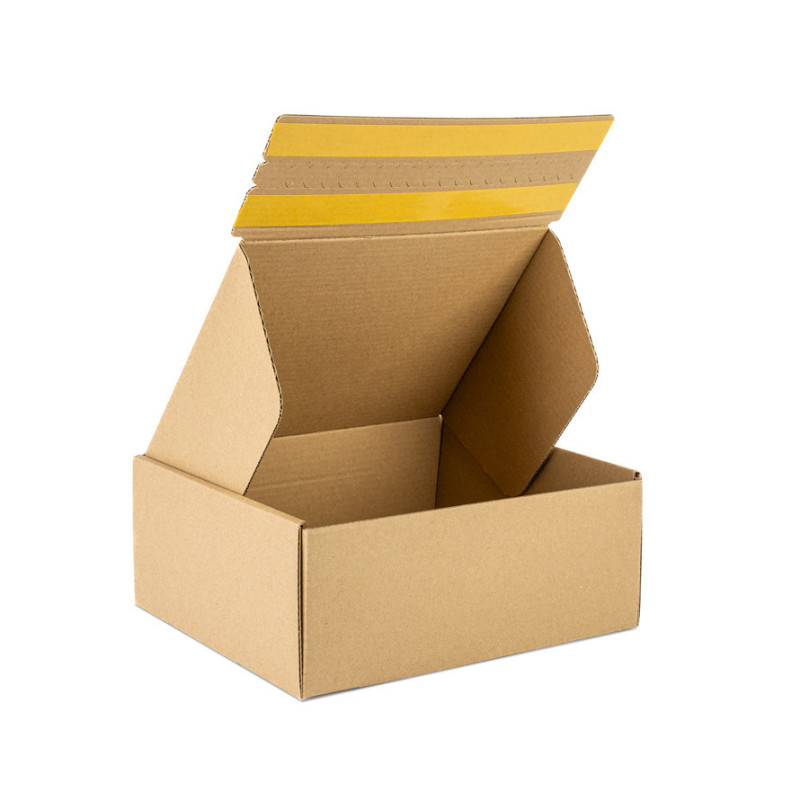 Caja envio/ retorno 315x225x70