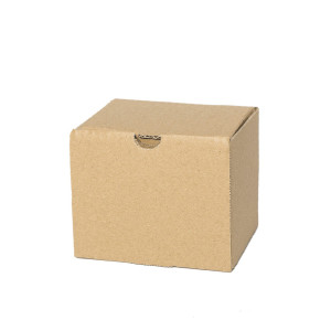Cajas de envío postal 165x98x60mm