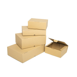 Caja de envío postal 240X170X150