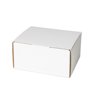 Caja de envío postal 240X170X150