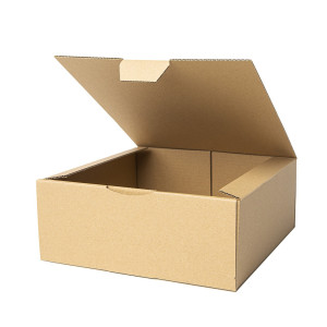 CAJA ENVIO POSTAL 250X250X100
