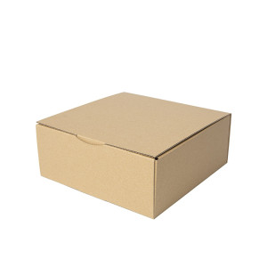CAJA ENVIO POSTAL 250X250X100