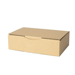 Caja de cartón canal simple 180x100x50