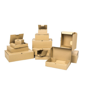 Caja de envío postal 200x100x100